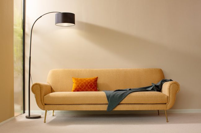 Photo floor lamp